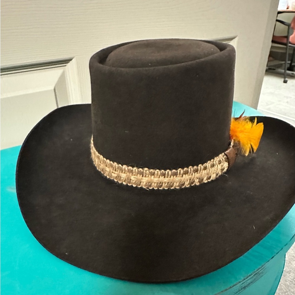 Brown Cowboy Hat with Feather Accent - Picture 3 of 3